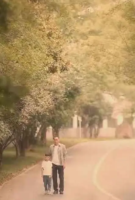 《不装了我是你惹不起的存在》：反套路爽剧，小人物逆袭的爆笑传奇